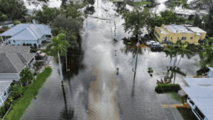 Downtown Punta Gorda Flooding