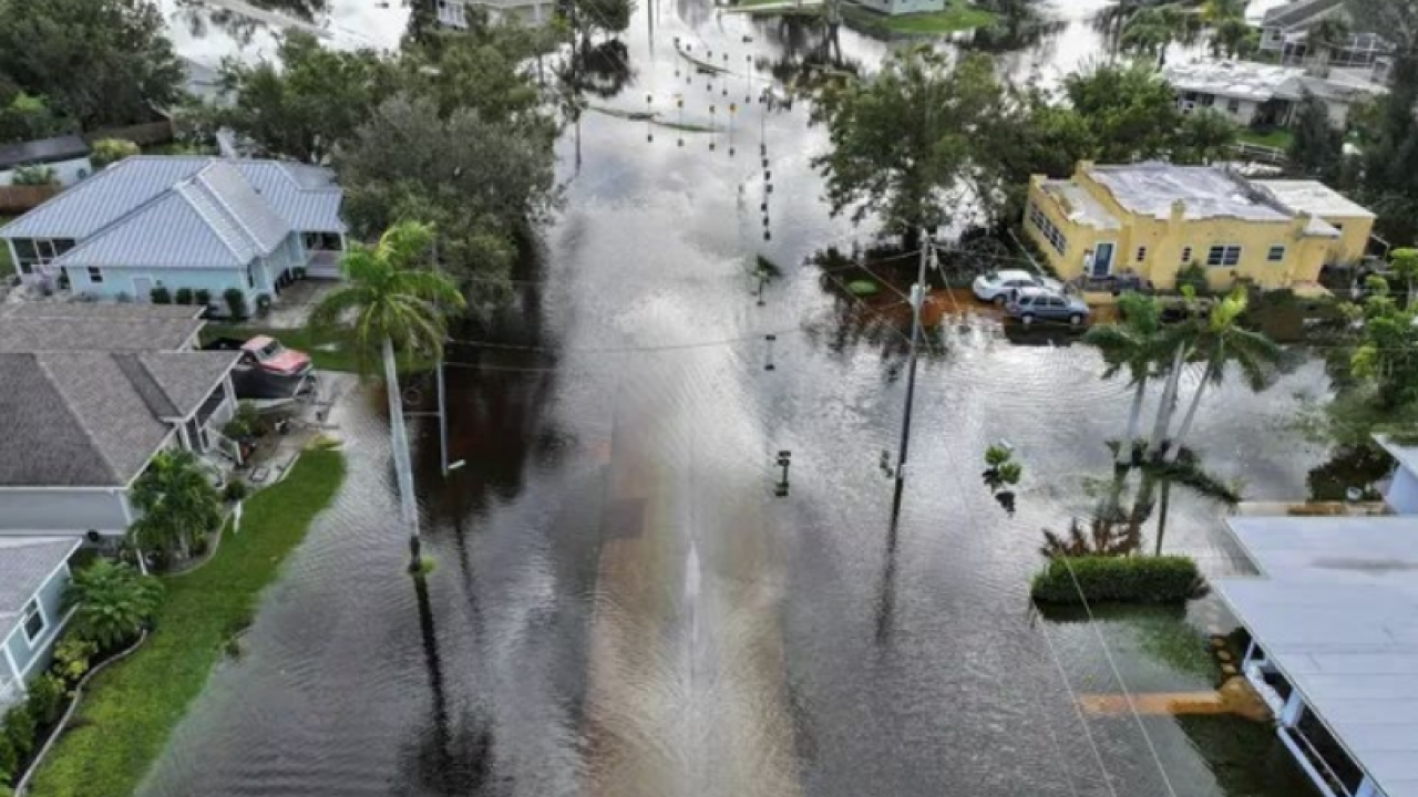 Punta Gorda Mayor Questions $745K Flood Study